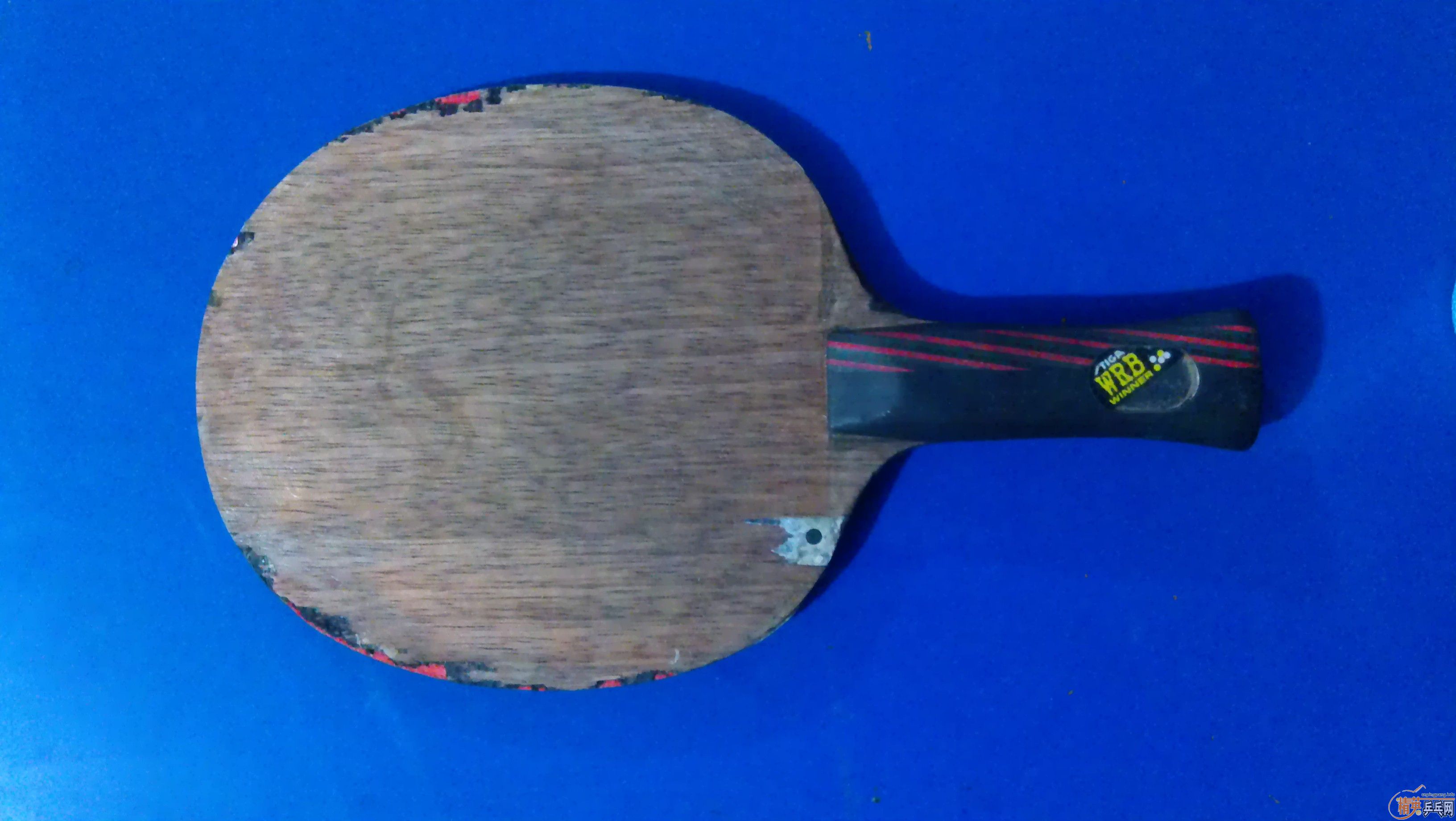 ���˺����ۺ��Ʊ���̼��