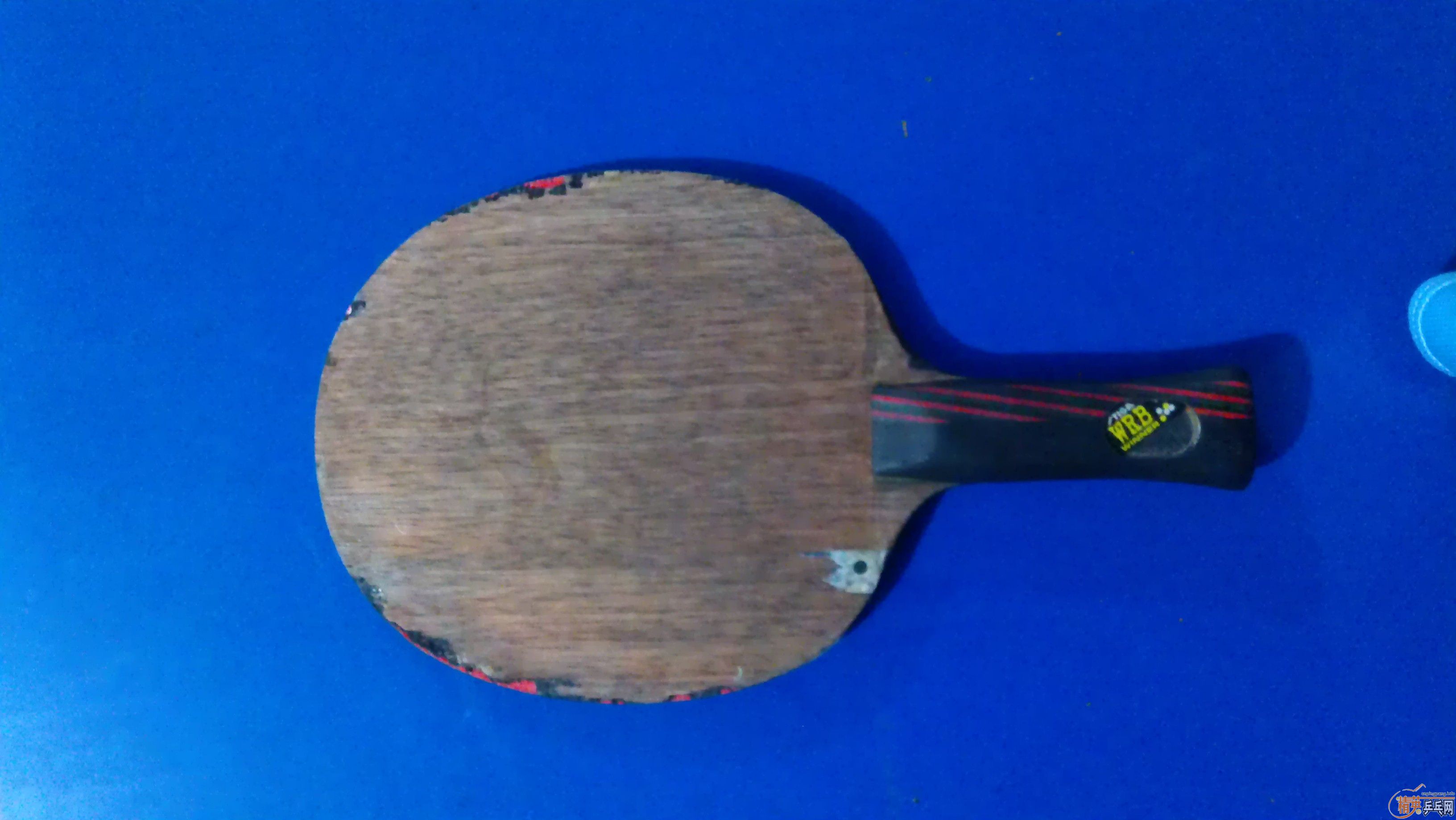 ���˺����ۺ��Ʊ���̼��