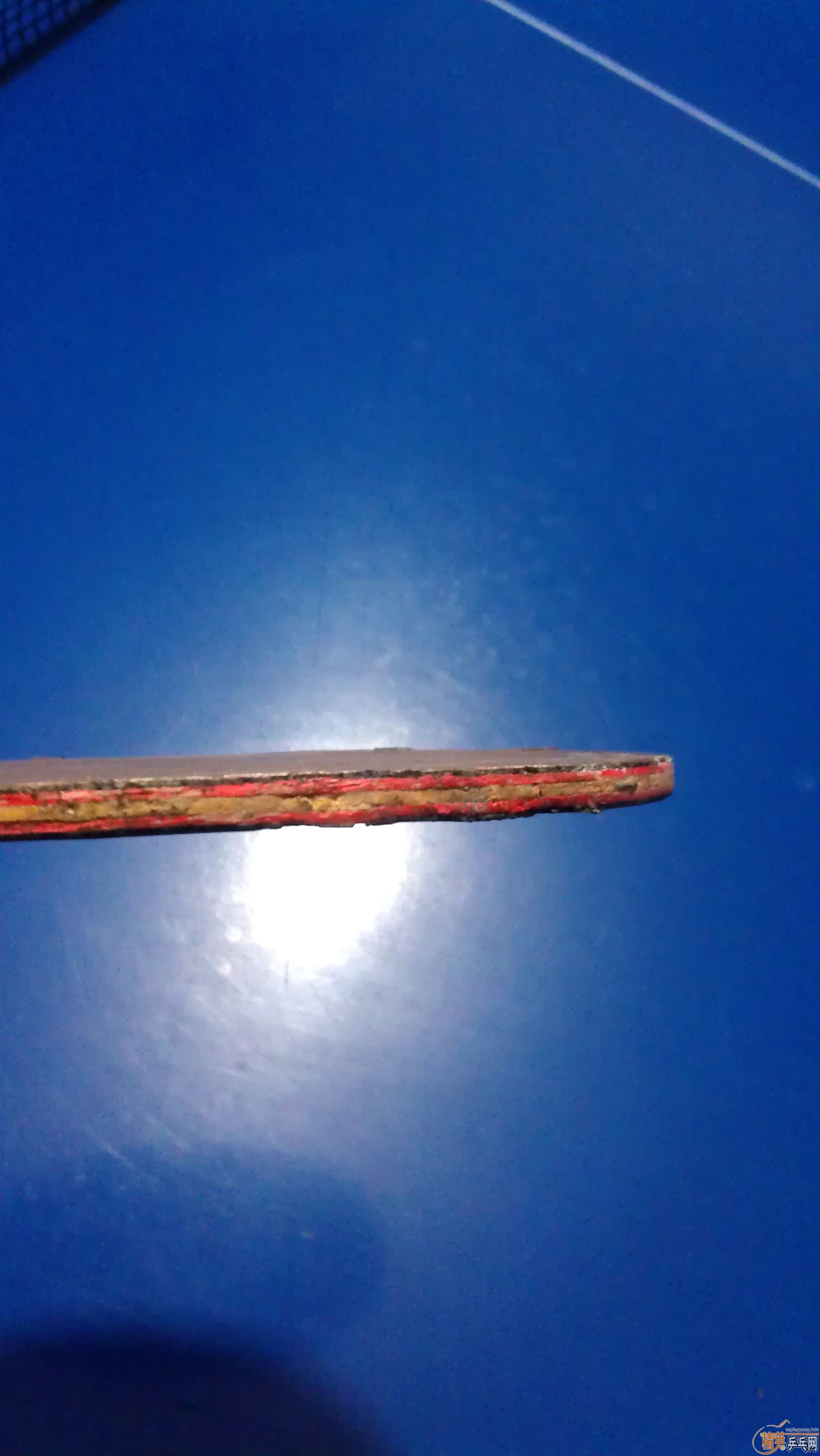 ���˺����ۺ��Ʊ���̼��