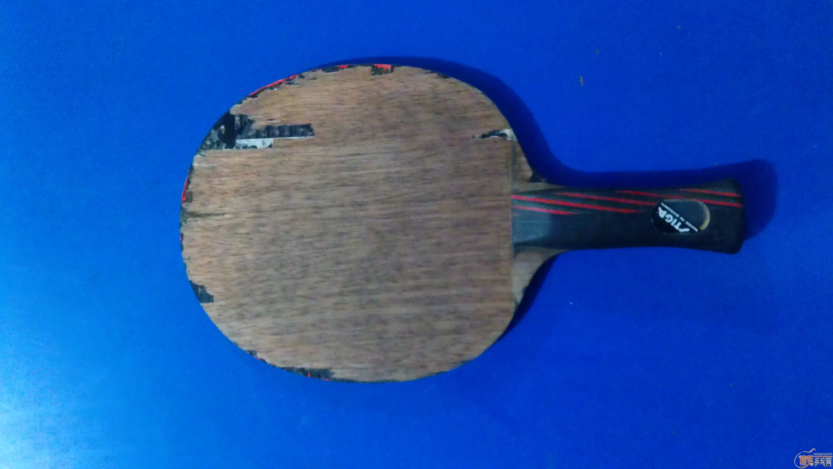 ���˺����ۺ��Ʊ���̼��