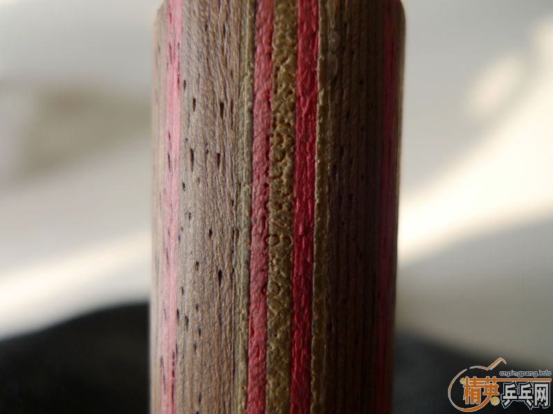 Ԫ����֡�������CL��ʡ��˹����EL�ȼ�������������������