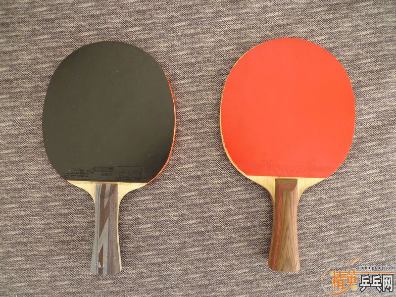 Ԫ����֡�������CL��ʡ��˹����EL�ȼ�������������������