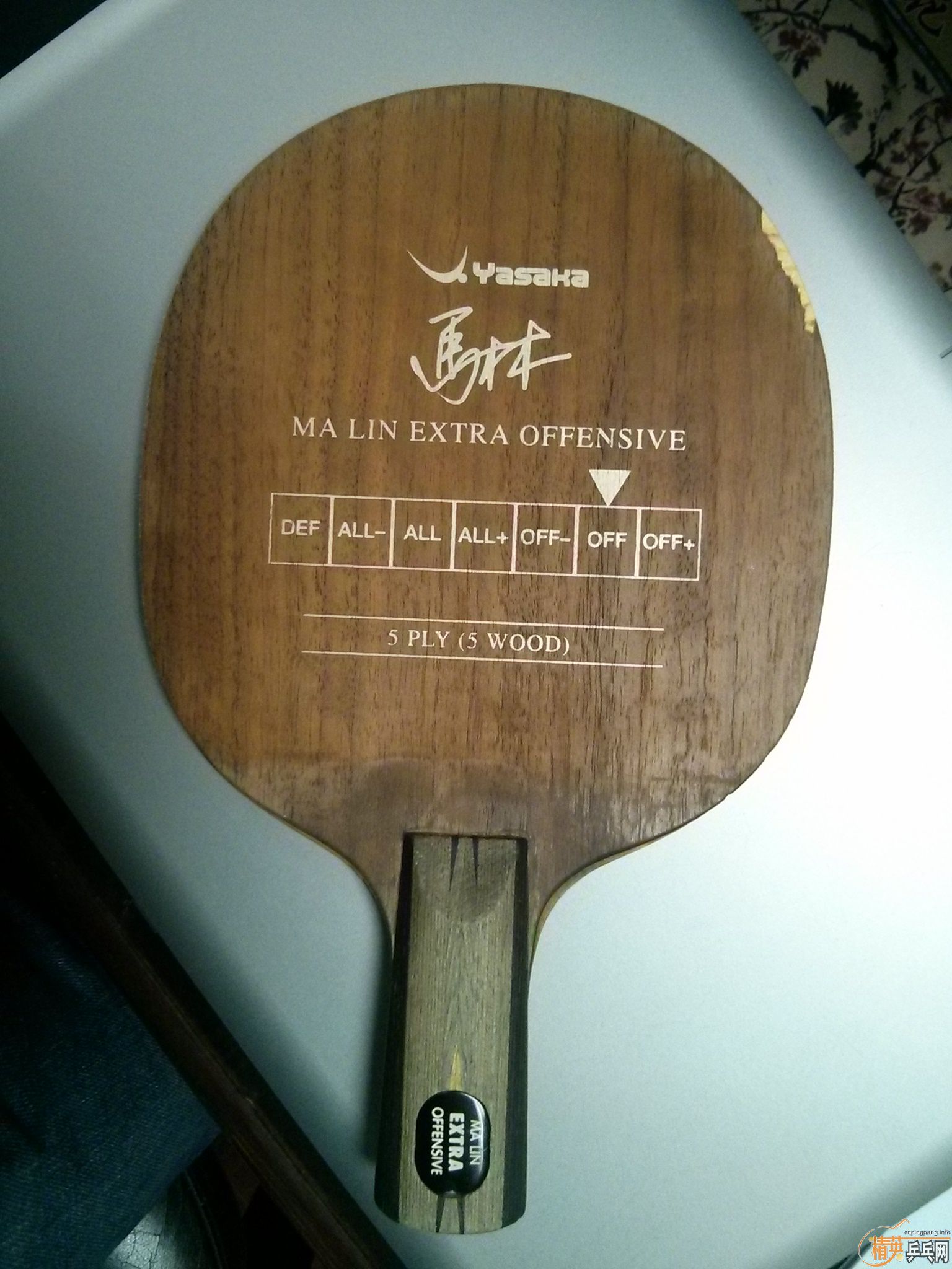 ƹ������YEO