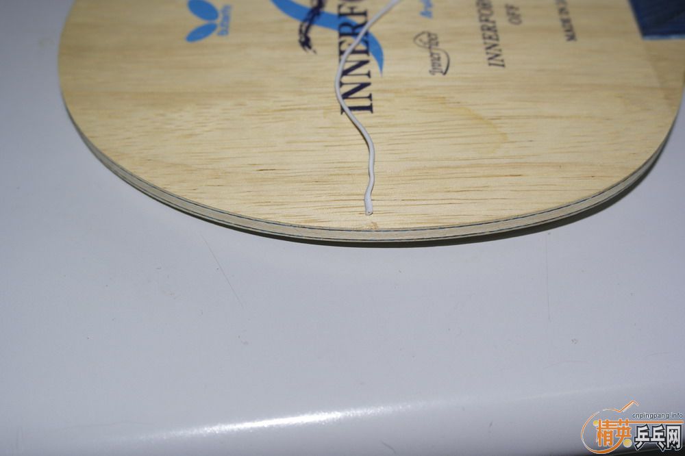 ��ST  inner alc��ͦ�� sinus��sinus alpha