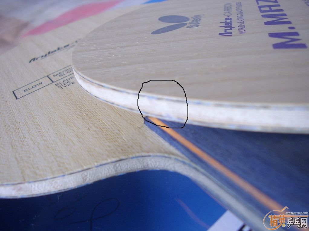 ����ALC  FL  ������  ���հ�  ˹�ۿ���� ST