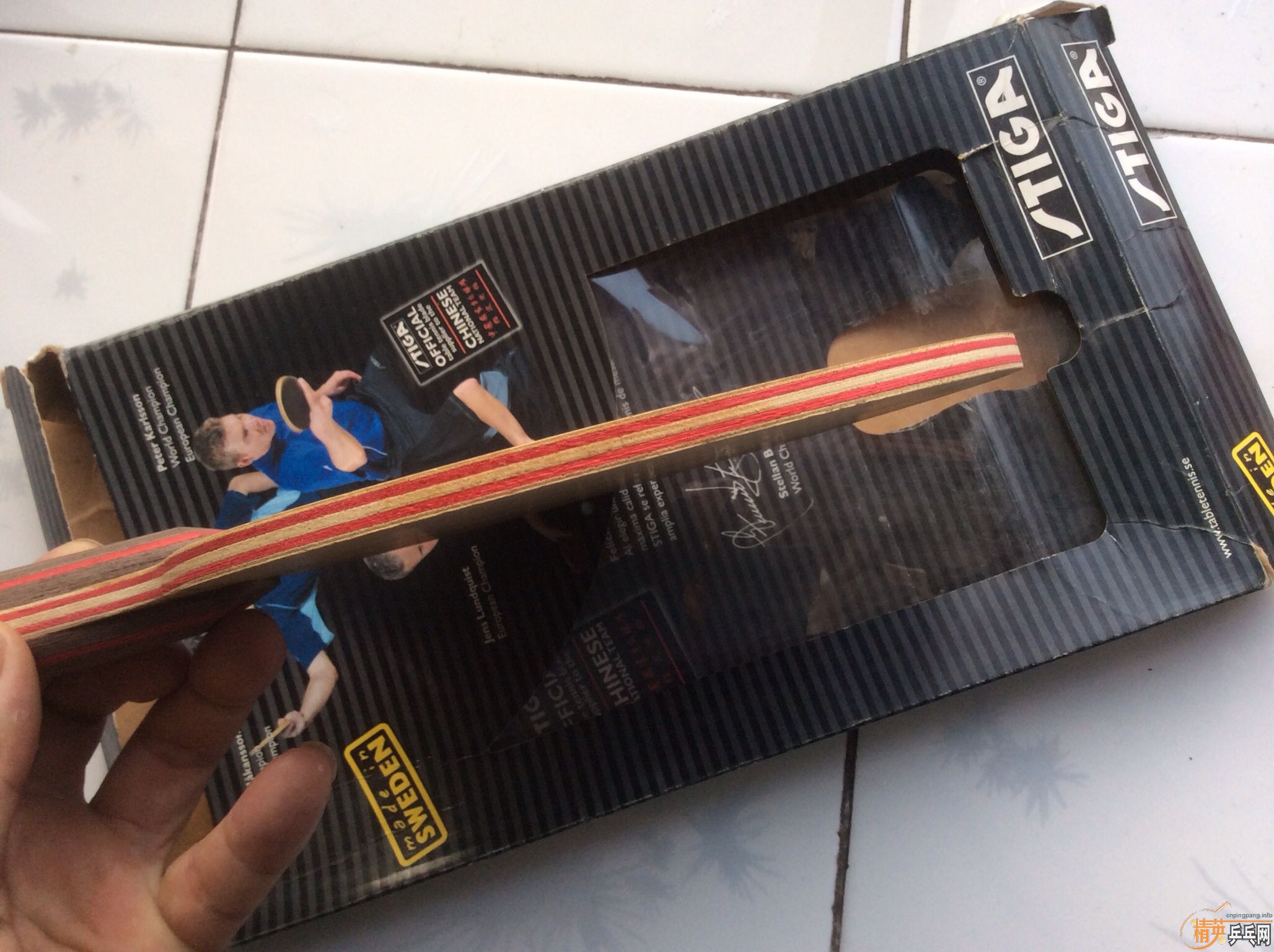 ��ʵCL��   GP������