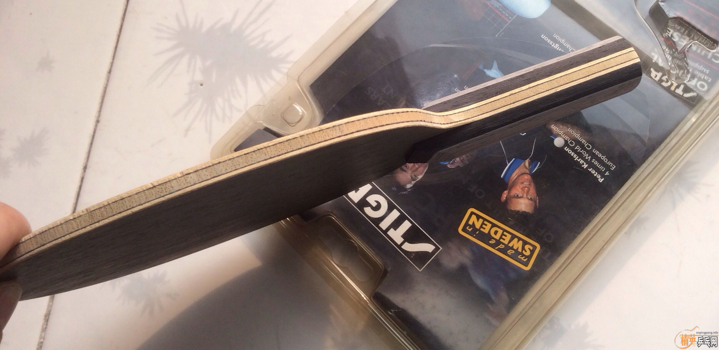 ��ʵCL��   GP������