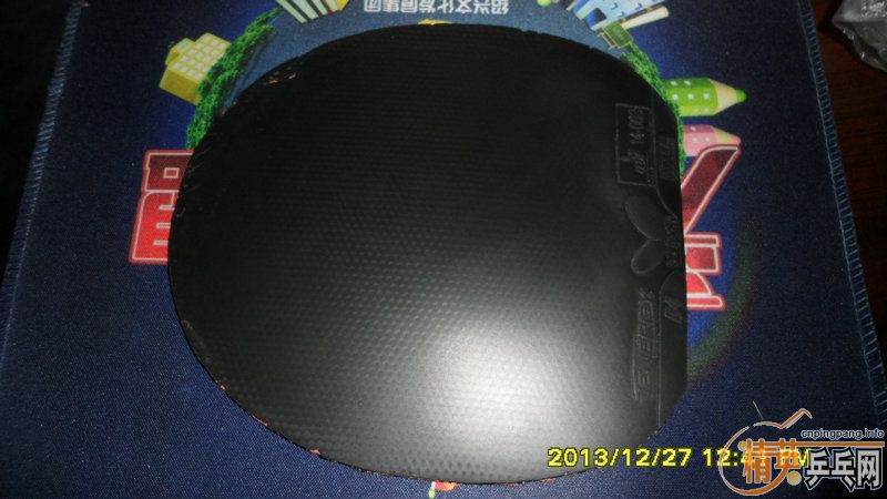 ��׳���������