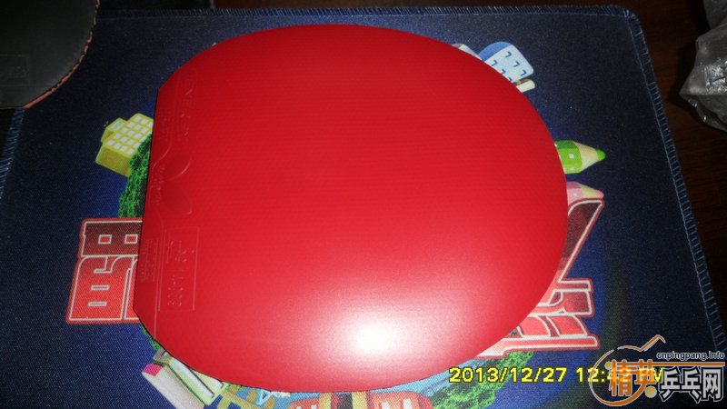 ��׳���������