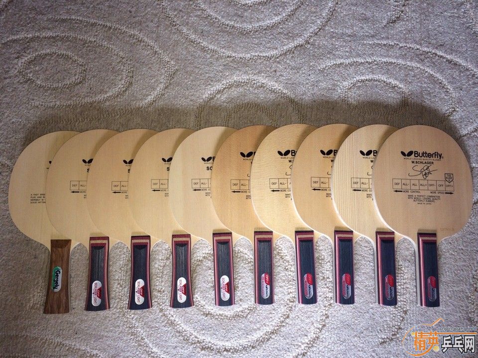 ��ʮ�ź����������ڣ�