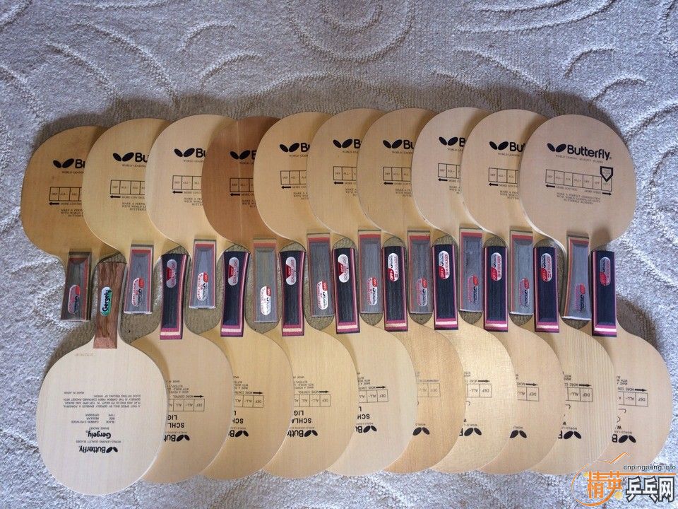 ��ʮ�ź����������ڣ�