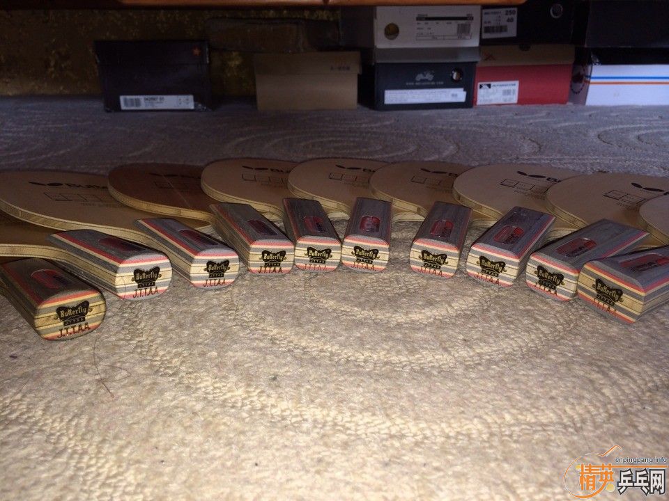 ��ʮ�ź����������ڣ�