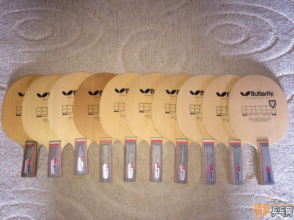 ��ʮ�ź����������ڣ�