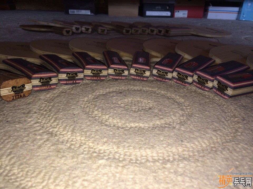 ��ʮ�ź����������ڣ�