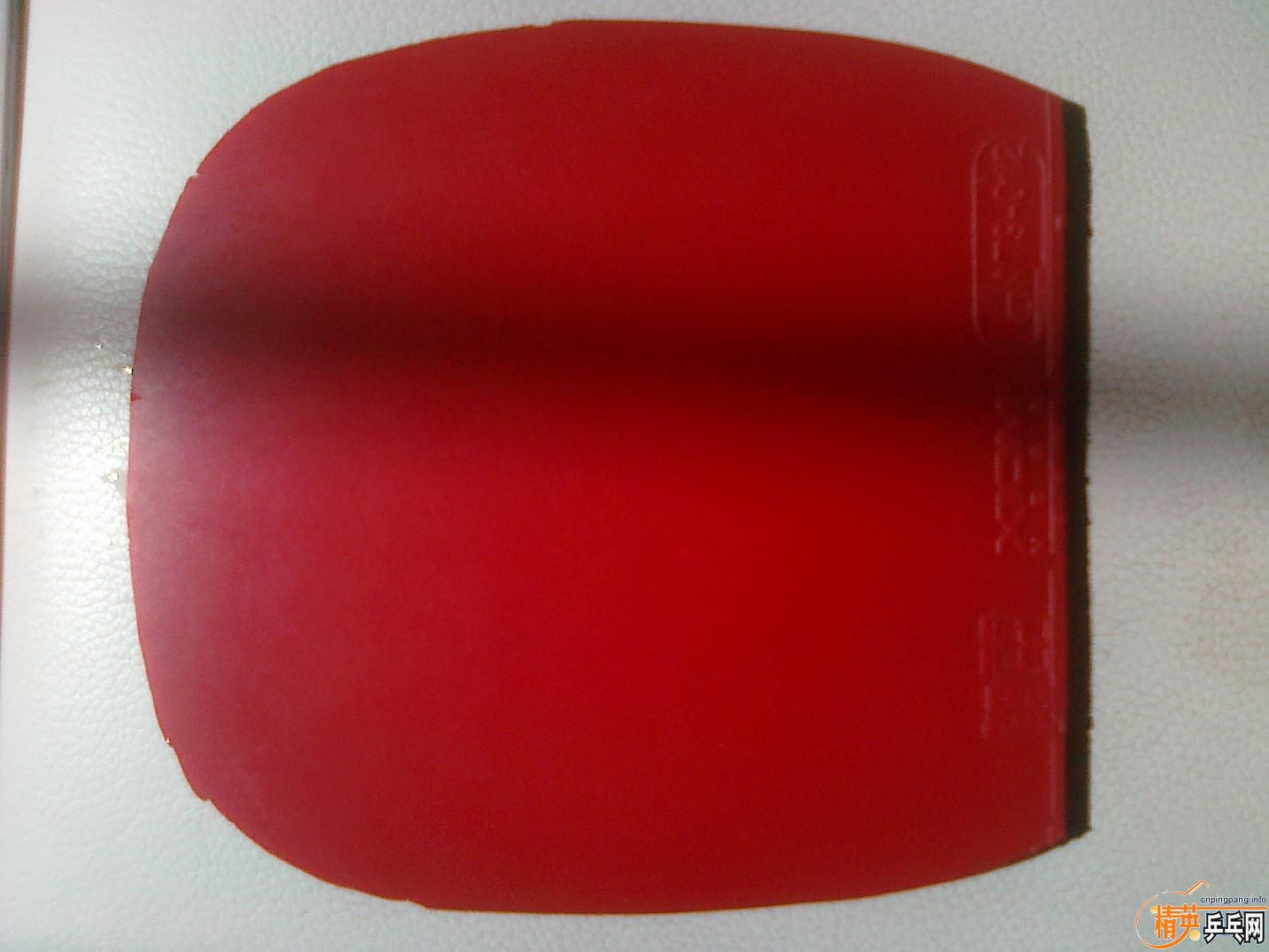 ���ٳ� ���ʹ�Z��������V�������X2��ͦ��һ������������ֱ���棬��ɫ�ܺã��۸���ˡ�