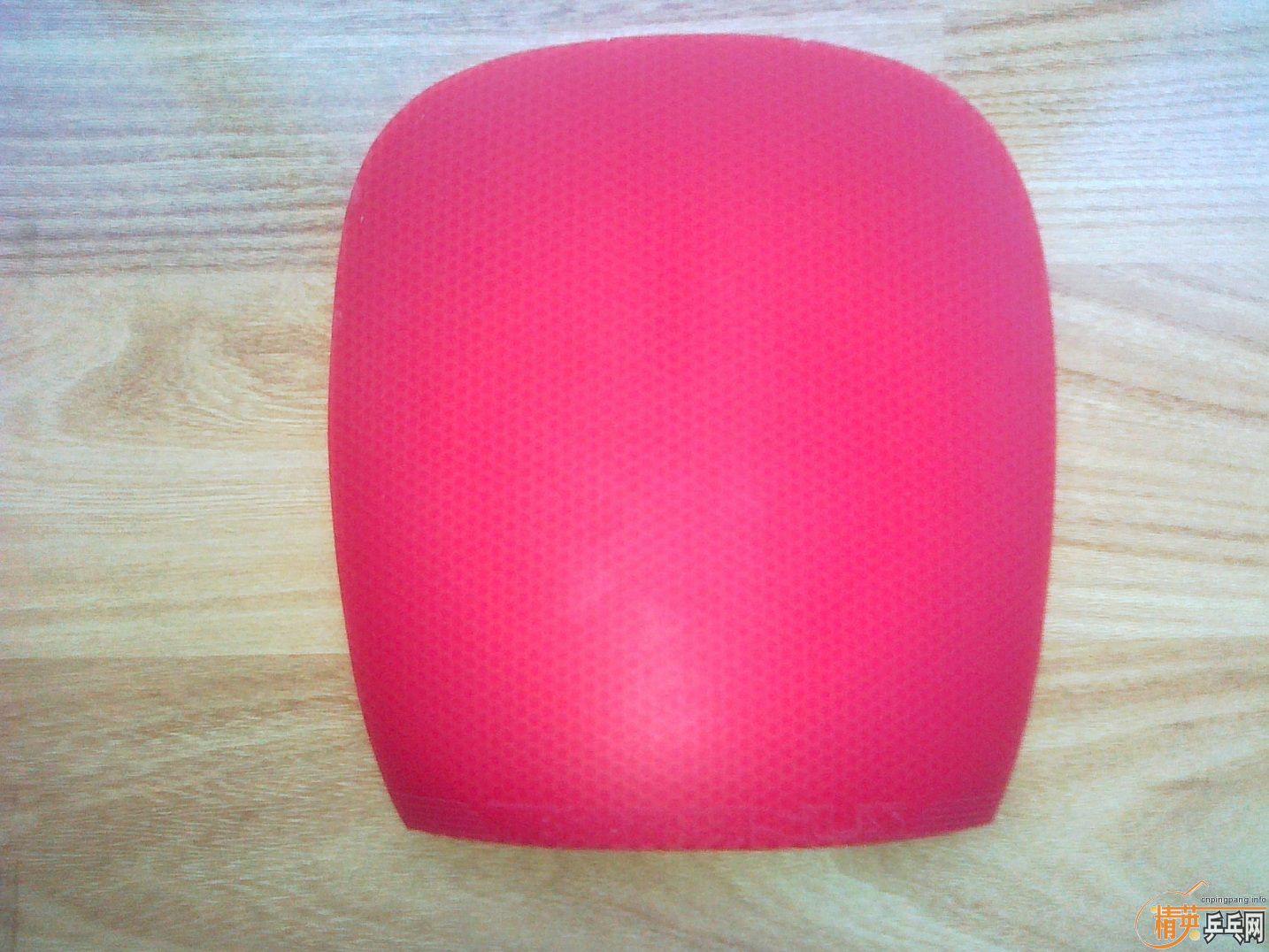 ���ٳ� ���ʹ�Z��������V�������X2��ͦ��һ������������ֱ���棬��ɫ�ܺã��۸���ˡ�