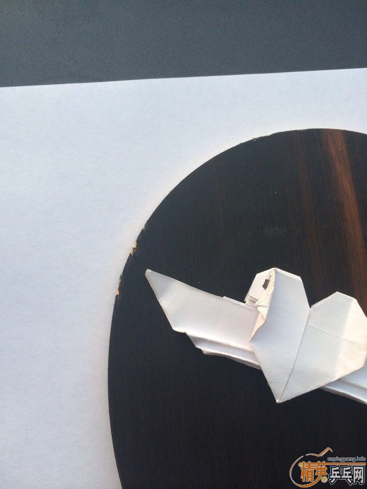 �����װ����T5000������REYGUND����̴5���׽�