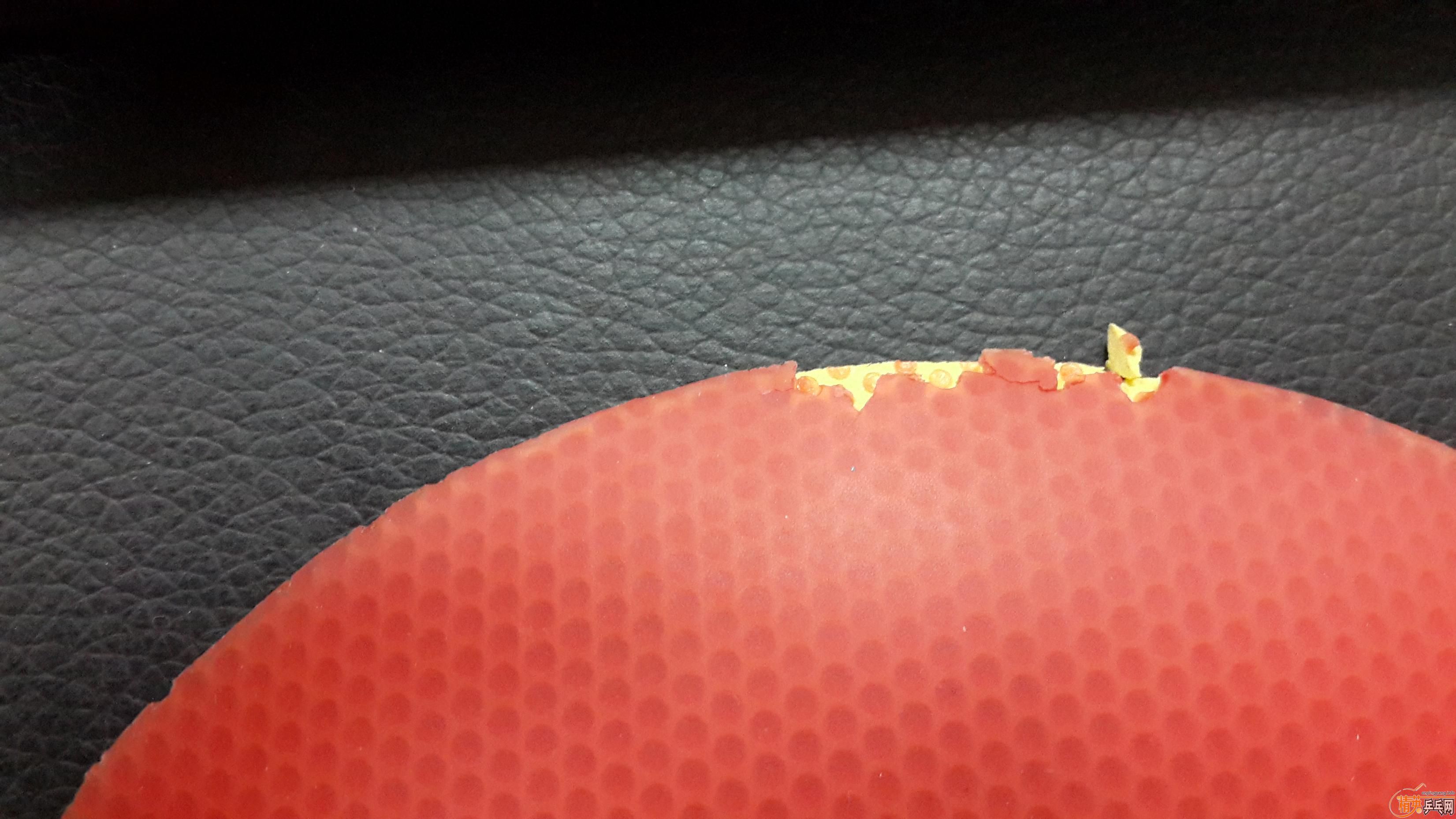 ���齿��ŷ��٤2�׽�