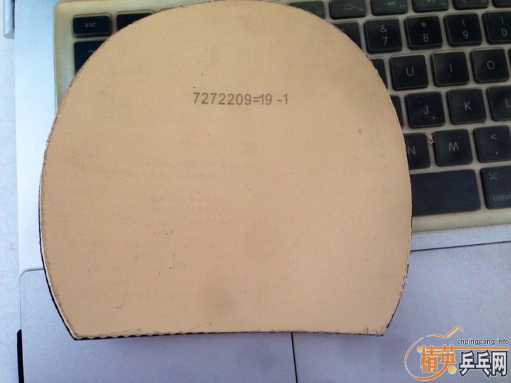 ��200���ʡ�ͦ�� һ�� Sinus (ֻ����һ��), Nittaku ���ܼ� 60ml