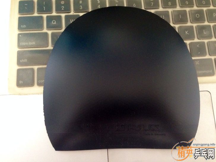 ��200���ʡ�ͦ�� һ�� Sinus (ֻ����һ��), Nittaku ���ܼ� 60ml