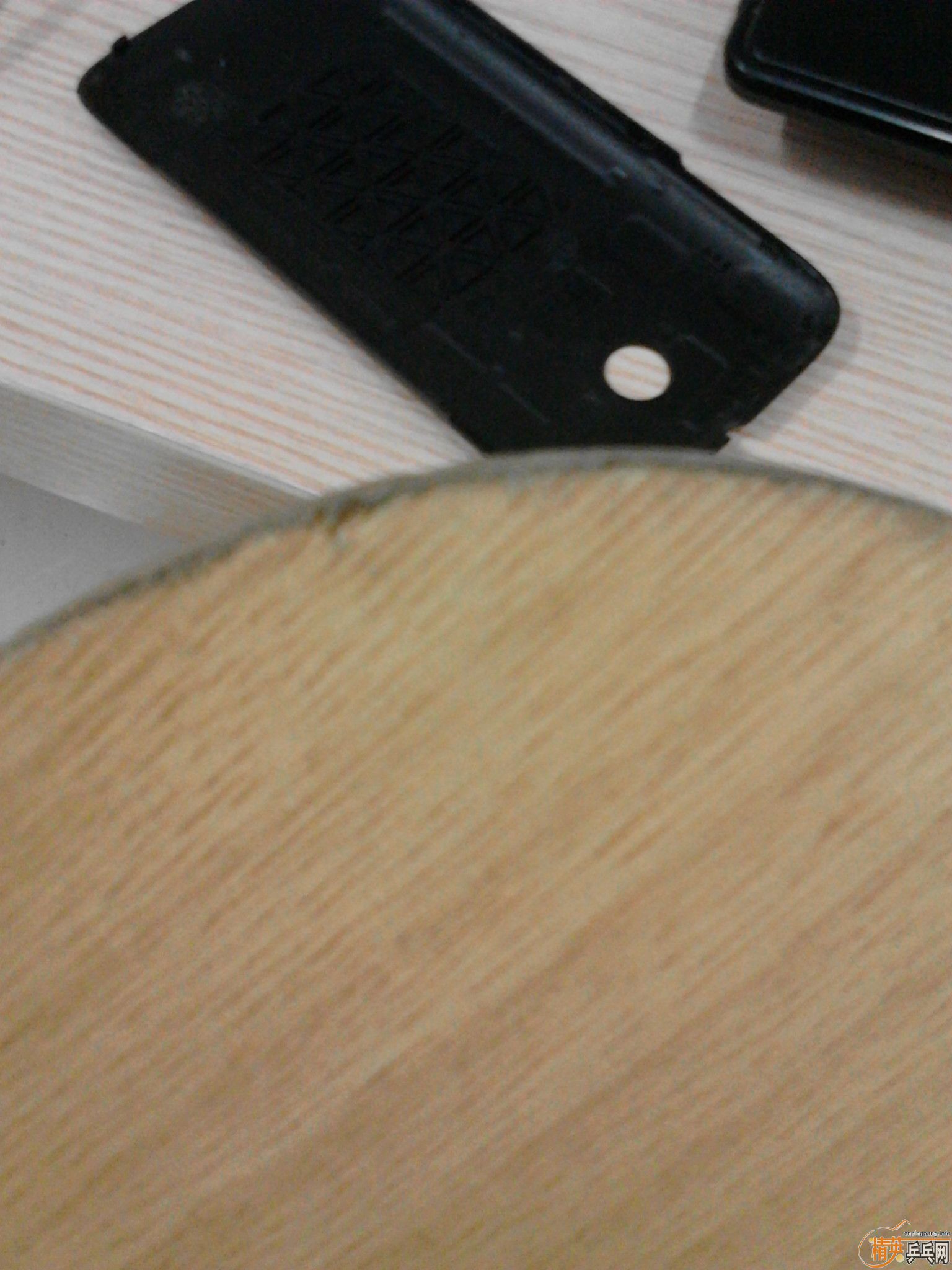 ����������̼  ����YEO