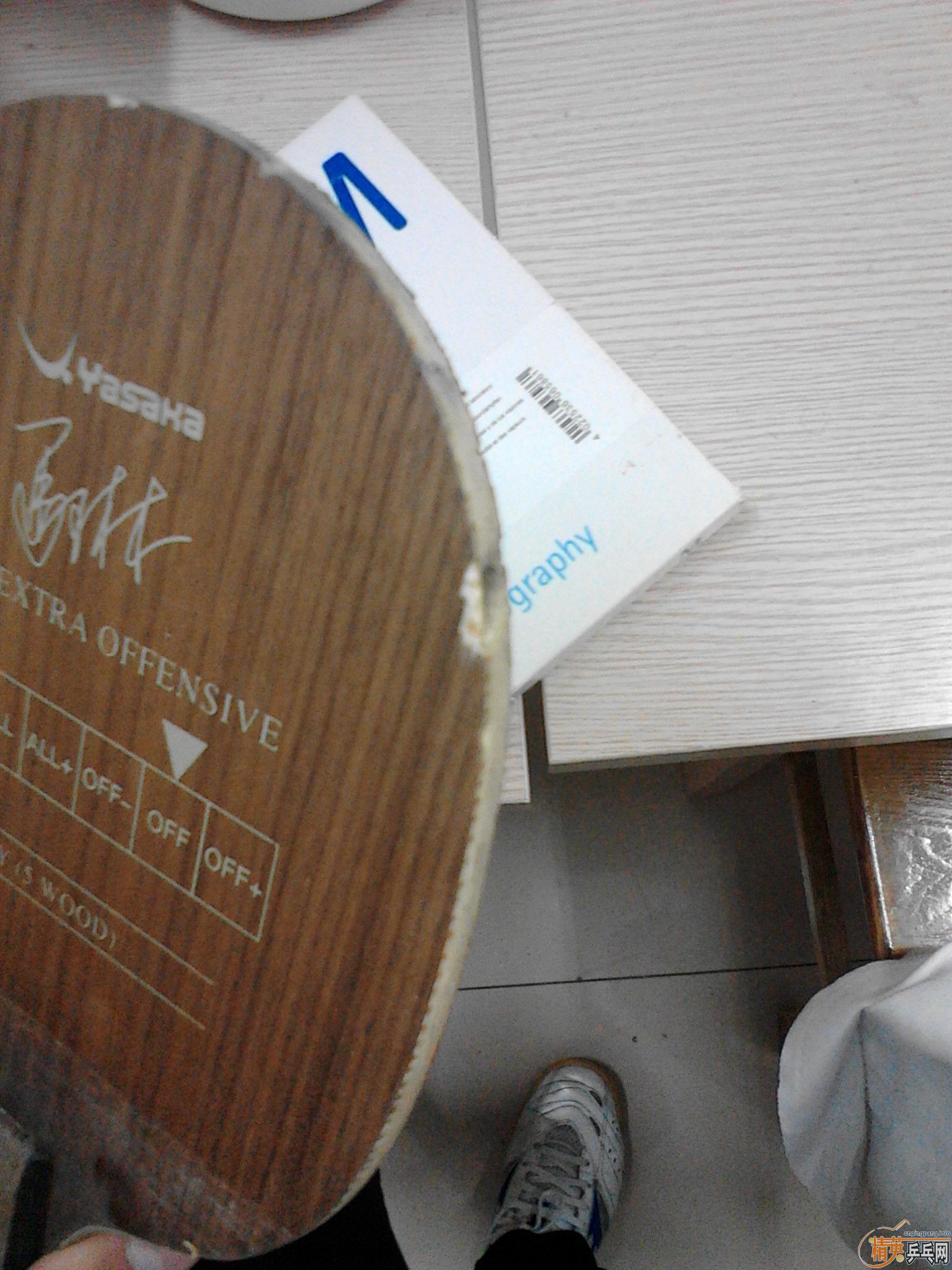 ����������̼  ����YEO