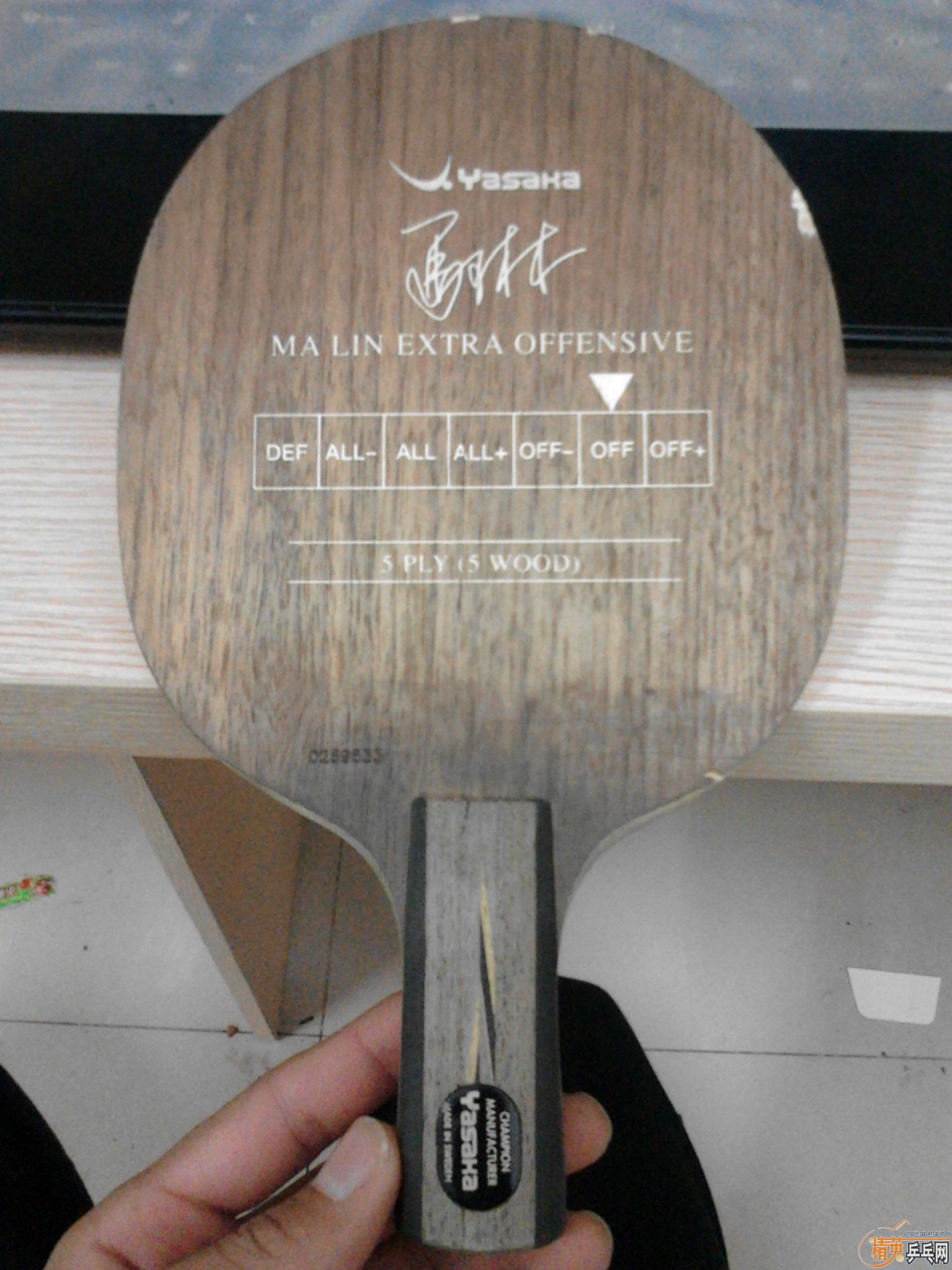 ����������̼  ����YEO