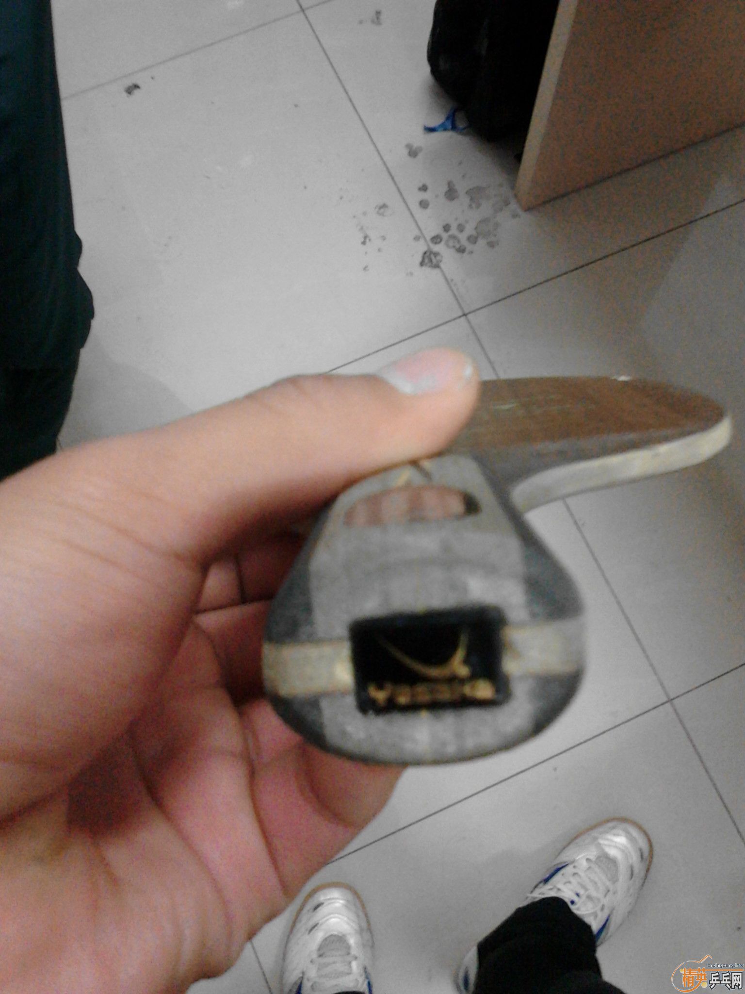 ����������̼  ����YEO