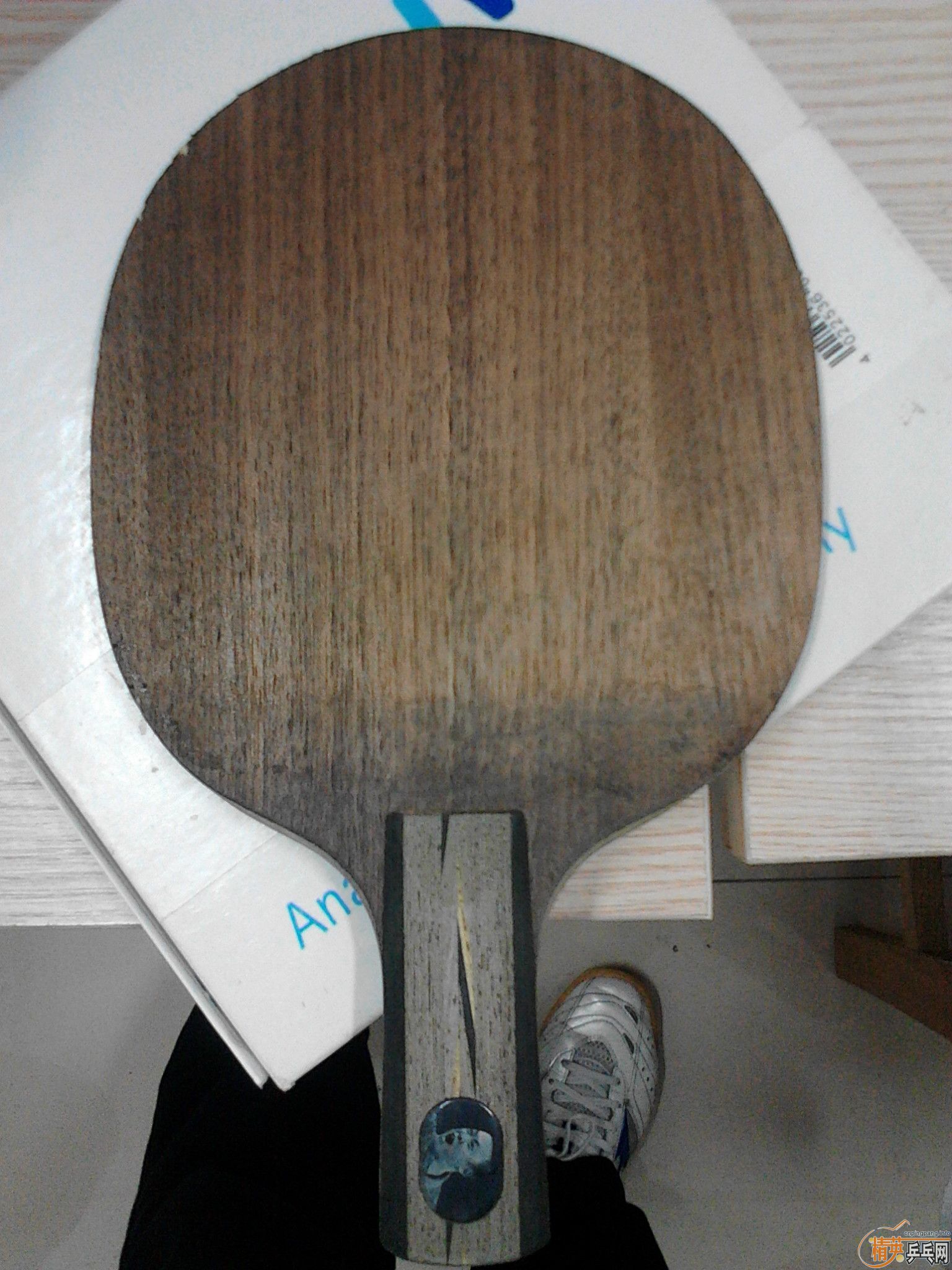 ����������̼  ����YEO