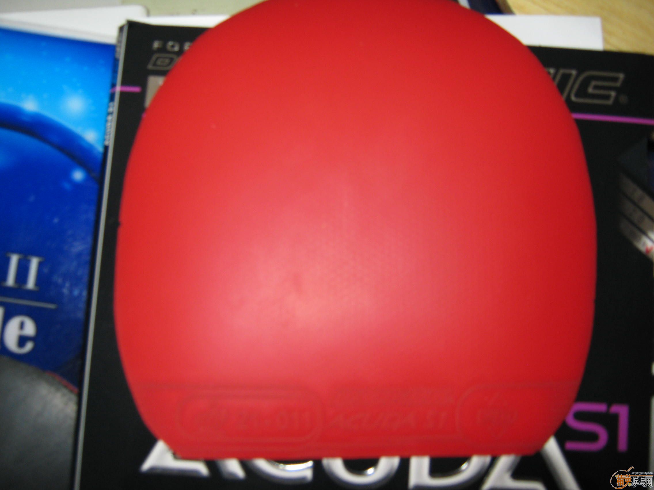 ���˳������Լ��õ����ף���������������