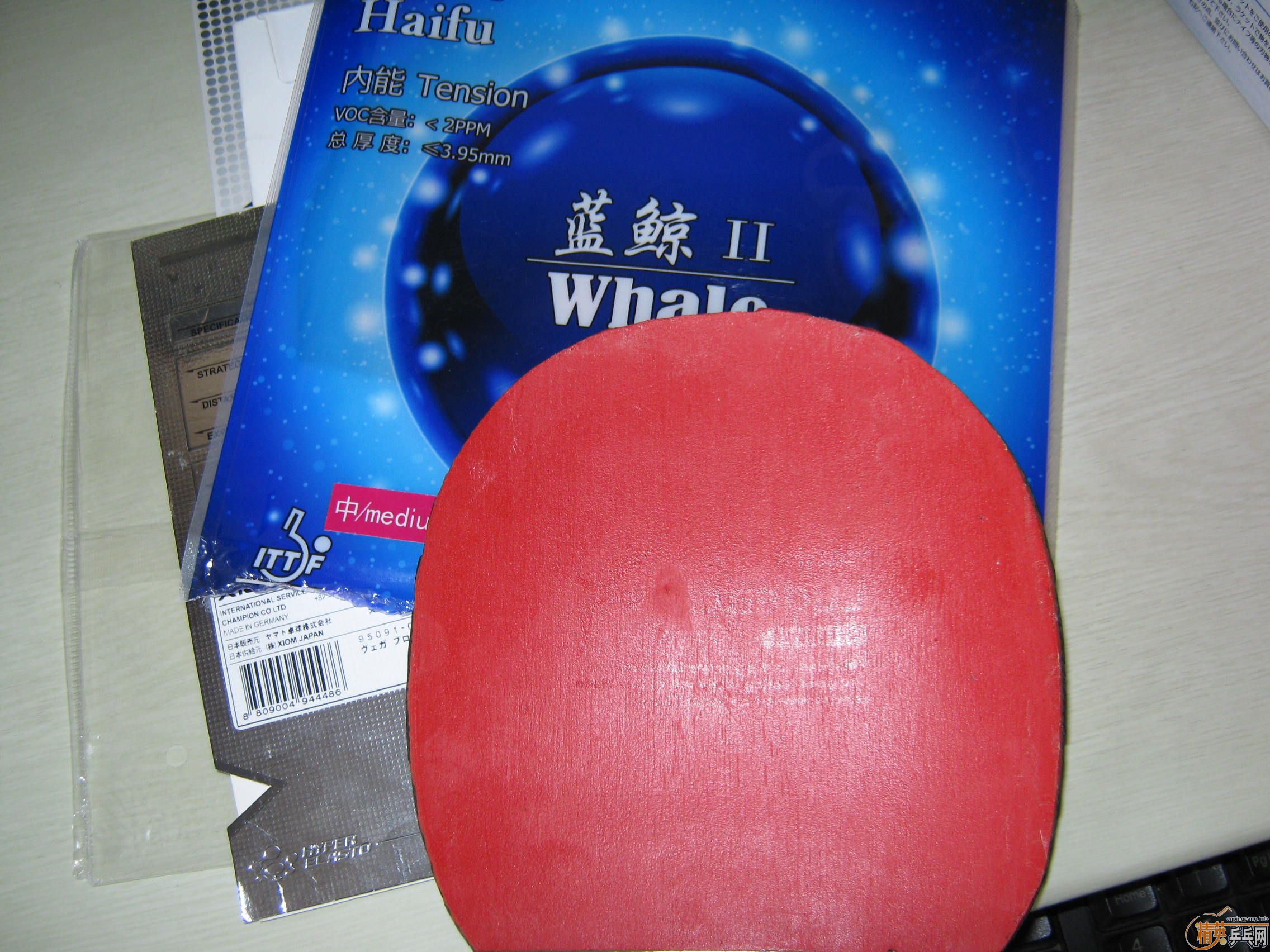 ���˳������Լ��õ����ף���������������