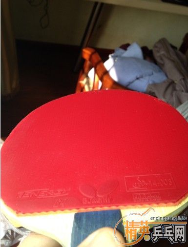 155��������ɫ����T64��