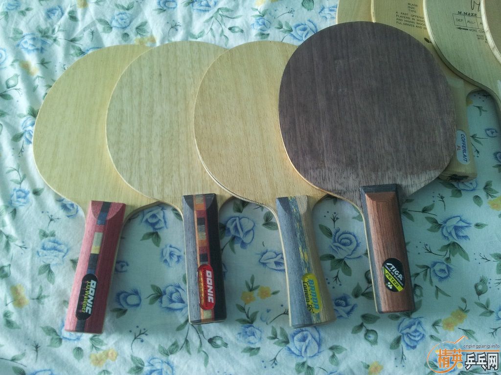 �����������ģ�һ���������Ե�ֳ����������ӵ����ѣ����Բ�����ҫ���ӡ����Ǻû����Լ�����