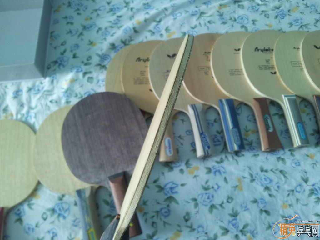 �����������ģ�һ���������Ե�ֳ����������ӵ����ѣ����Բ�����ҫ���ӡ����Ǻû����Լ�����