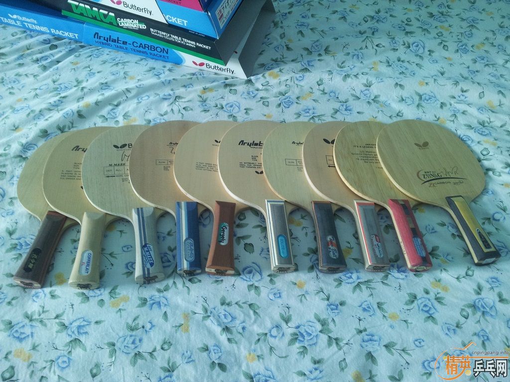 �����������ģ�һ���������Ե�ֳ����������ӵ����ѣ����Բ�����ҫ���ӡ����Ǻû����Լ�����