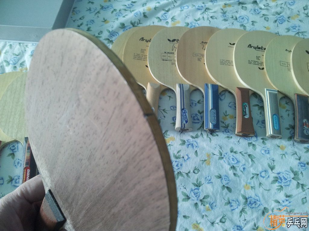 �����������ģ�һ���������Ե�ֳ����������ӵ����ѣ����Բ�����ҫ���ӡ����Ǻû����Լ�����