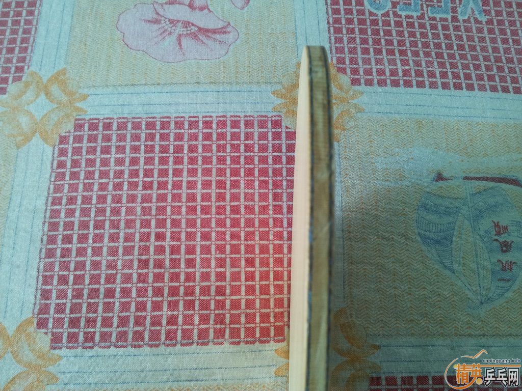 �����������ģ�һ���������Ե�ֳ����������ӵ����ѣ����Բ�����ҫ���ӡ����Ǻû����Լ�����