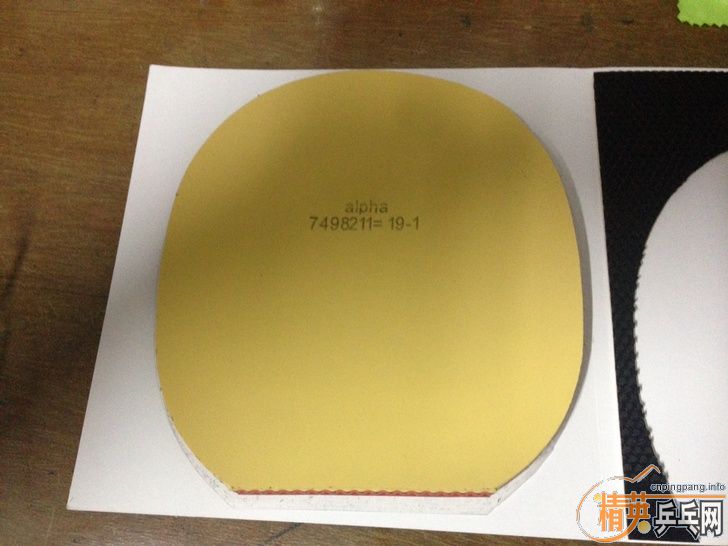 �����ۡ���160���ʣ���ͦ�� һ�� ������ Sinus Alpha ��ɫ