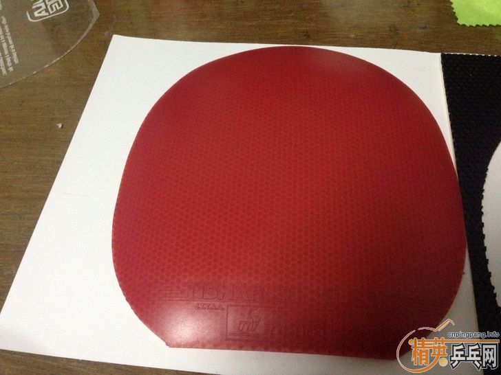 �����ۡ���160���ʣ���ͦ�� һ�� ������ Sinus Alpha ��ɫ