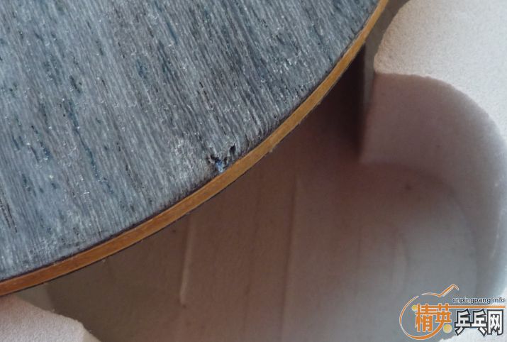 ��������FLһ���ɫ����� �����1