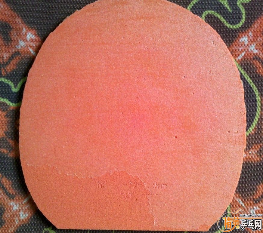 ���׽�05FX����������JP01����������רҵ��ѵ����