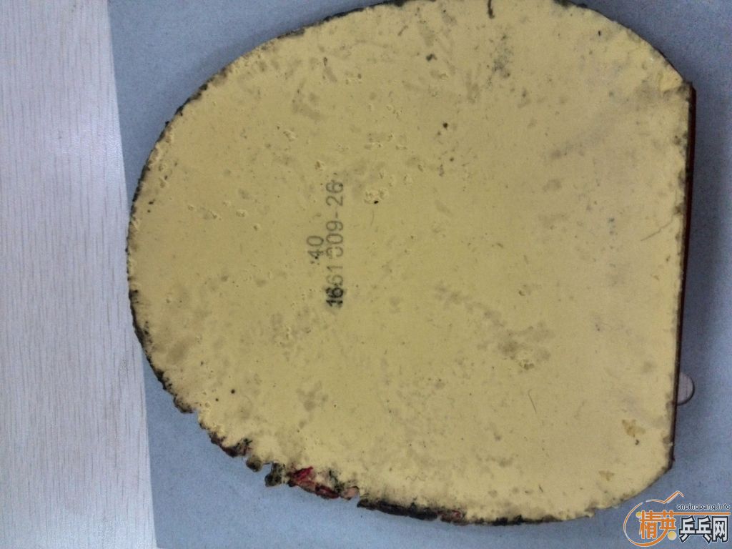 һ�ѽ�Ƥ�������� ��ɫ���Speed����ɫF1������Sriver FX������OMEGA ˬ������տ�