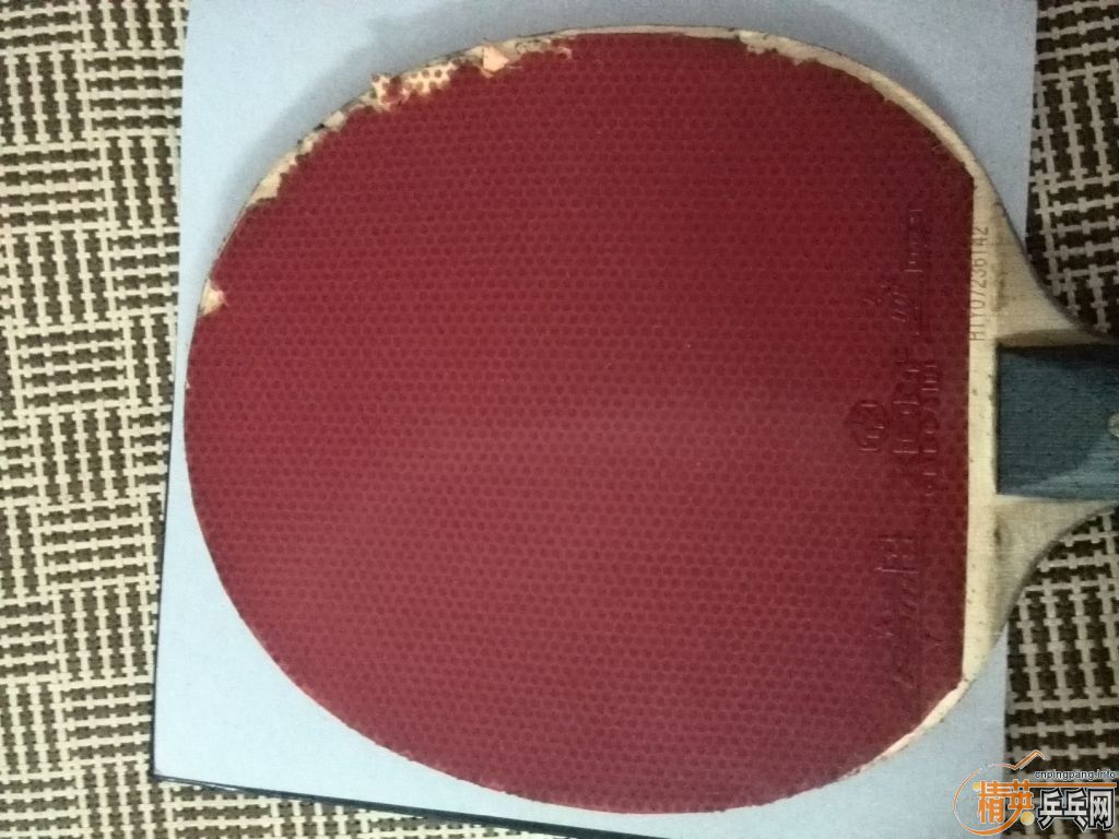 һ�ѽ�Ƥ�������� ��ɫ���Speed����ɫF1������Sriver FX������OMEGA ˬ������տ�