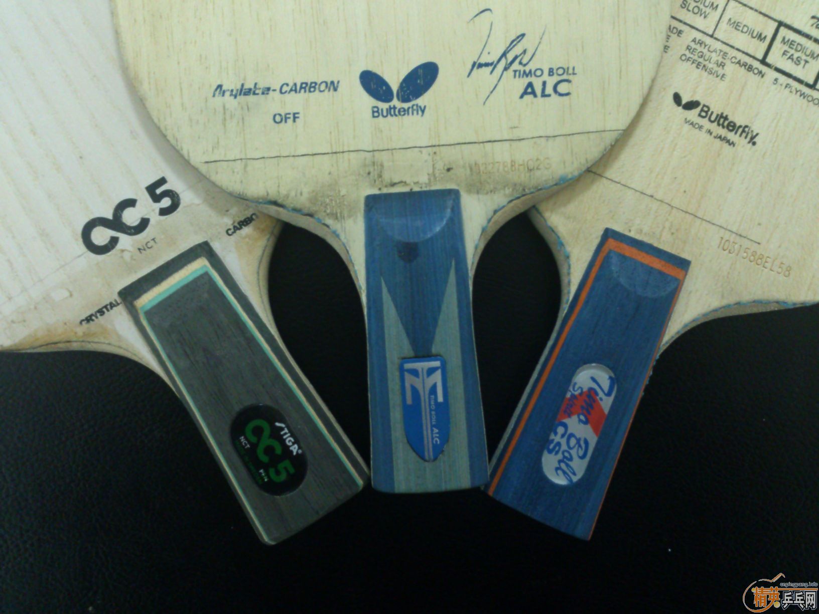 [����][�Ƽ�][����]2ֻ����1ֻCC5�����������