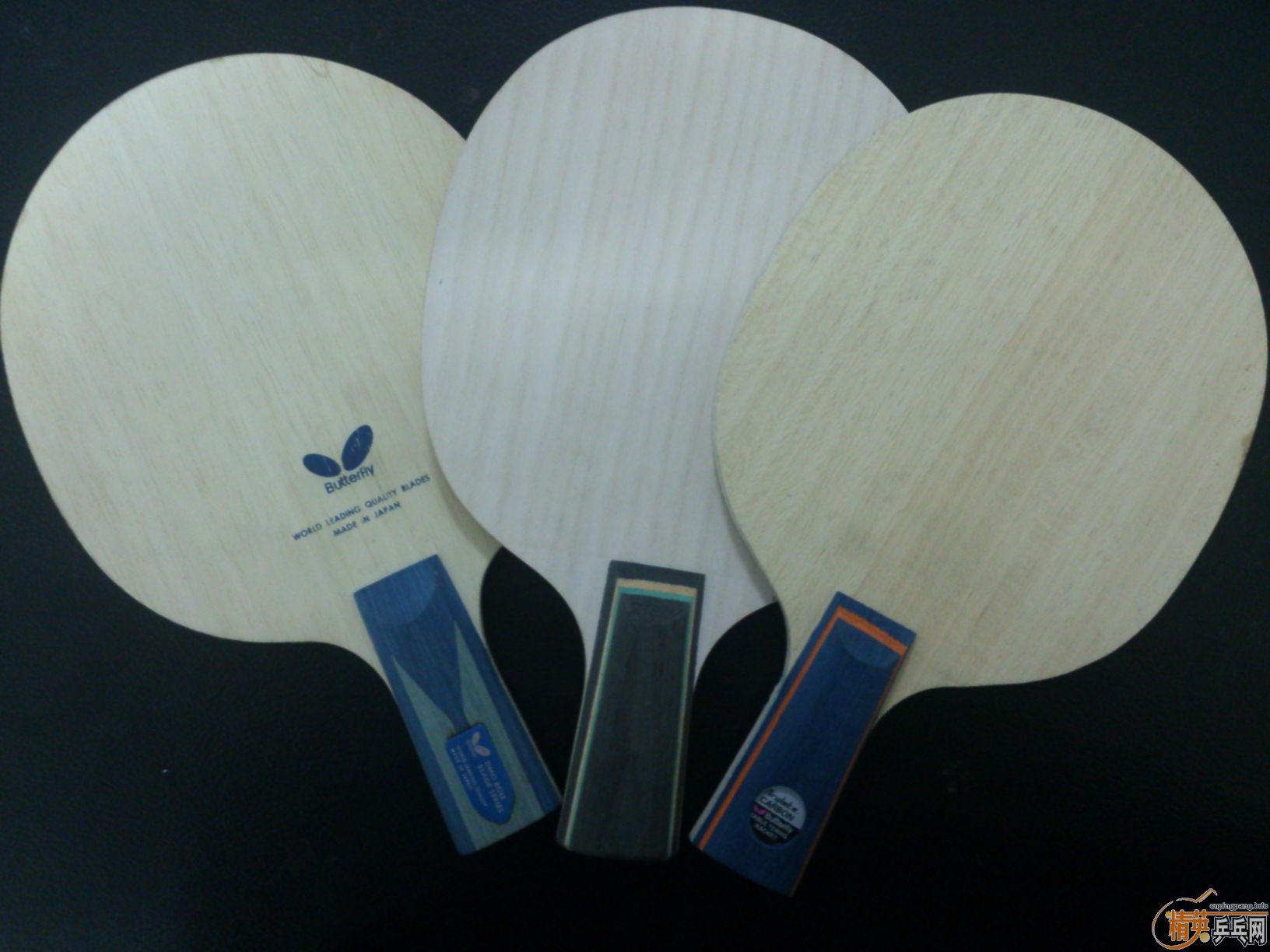 [����][�Ƽ�][����]2ֻ����1ֻCC5�����������