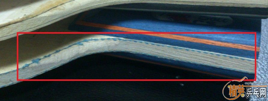 [����][�Ƽ�][����]2ֻ����1ֻCC5�����������