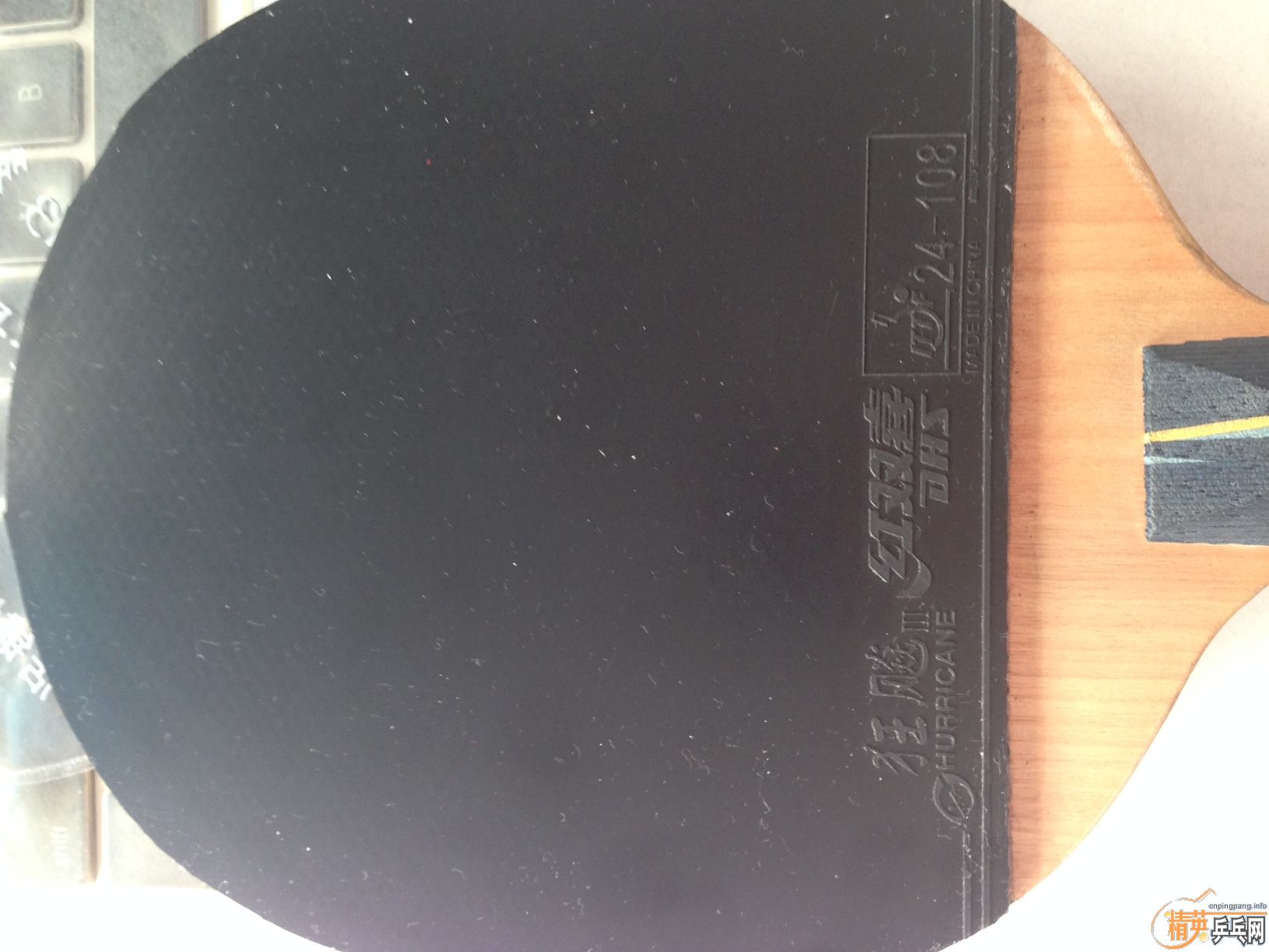 @@@@@@9.5�� �հ�YE ���֣����3 ����: Sriver EL 2.1@@@@@@