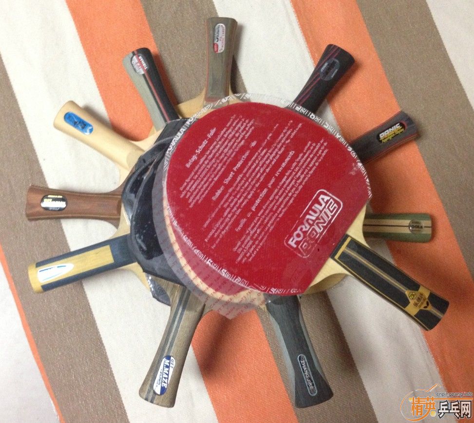 ������ô������������ô��İ��ӣ��������Ȼ��Ȼ�ķ����˺�����׷Ѱ���ҵĴ�ľ�о��������ҵ������˺ۣ�