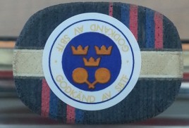 �ó�ɫ�� ��֧��Ȧ�塣����OC+��һ��656