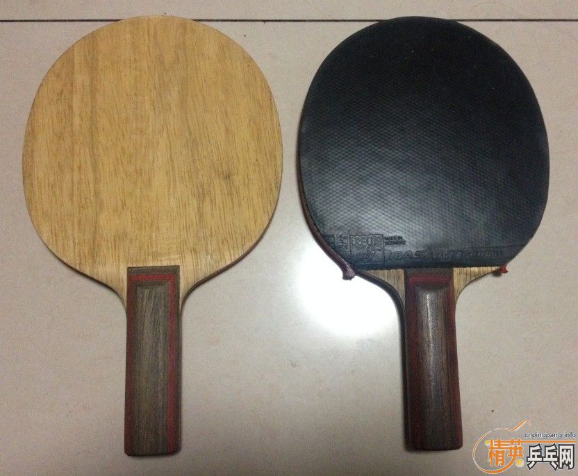 ϻƱCL ST|boll T5000ST ŷ|STIGA ̼FLŷ|